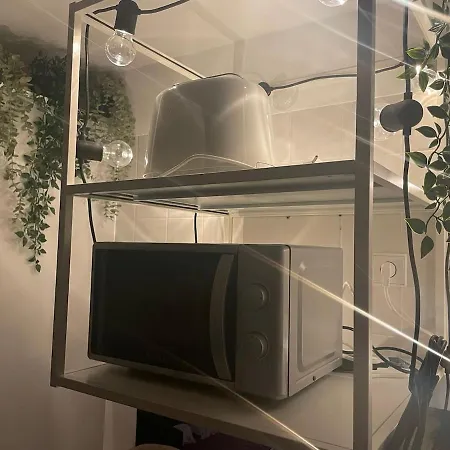 Sunny Cozy Modern